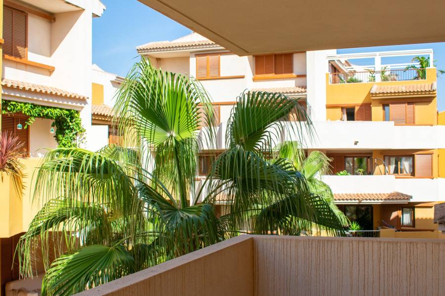 Пляж / Перепродажа - Apartment - Torrevieja - Punta Prima