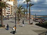 Mieten - Wohnung - Torrevieja - Centro/PLAYA