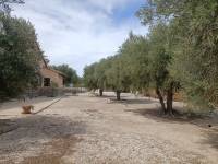 Beach/Resale - Country House - Elche - Jubalcoi