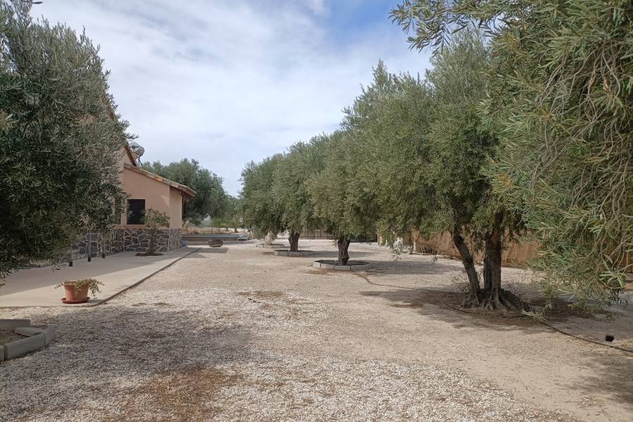 Beach/Resale - Country House - Elche - Jubalcoi