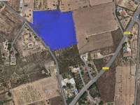 Beach/Resale - Country House - Elche - Balsares