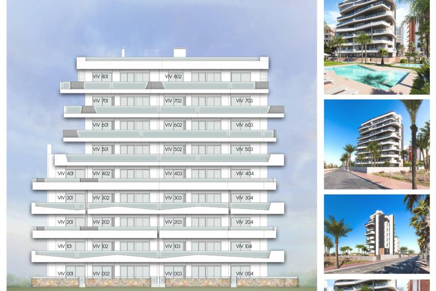 Playa/Reventa - A - Guardamar del Segura - PUERTO