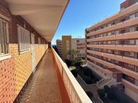 Пляж / Перепродажа - Apartment - Torrevieja - Punta Prima