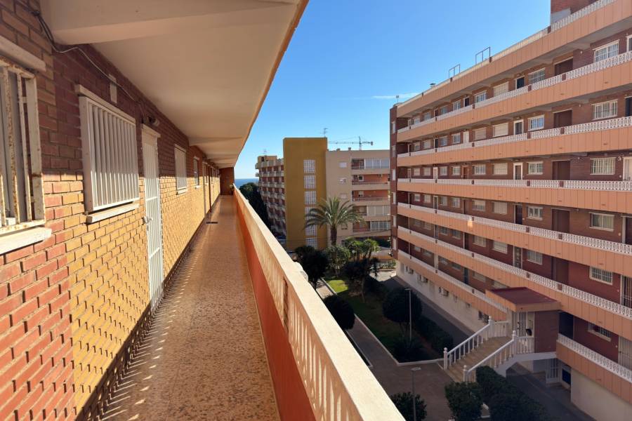 Пляж / Перепродажа - Apartment - Torrevieja - Punta Prima