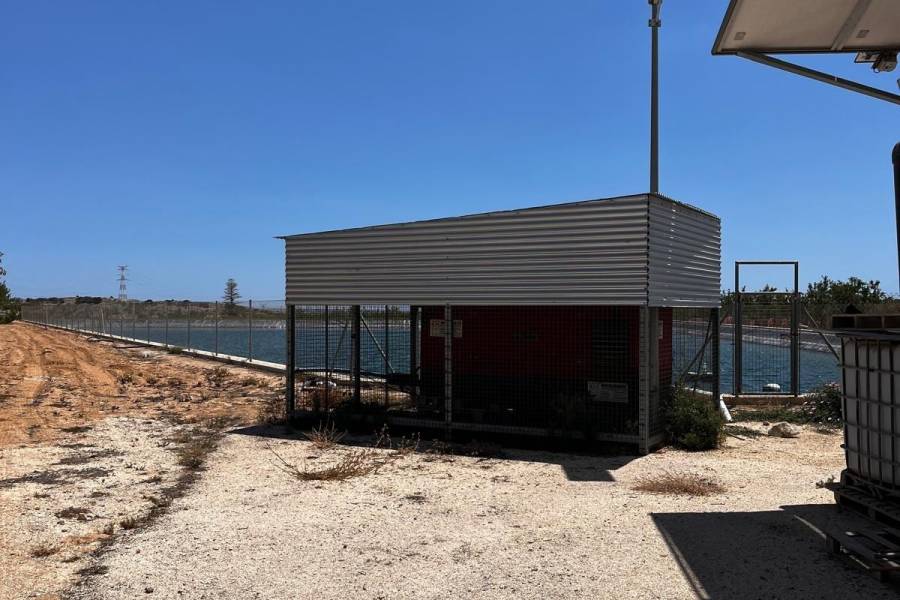 Weiterverkauf / Strand - c - Elche pedanias - TORRELLANO