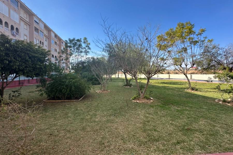 Пляж / Перепродажа - Apartment - Torrevieja - Parque las naciones