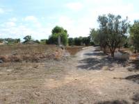 Beach/Resale - Country House - Elche - Altabix