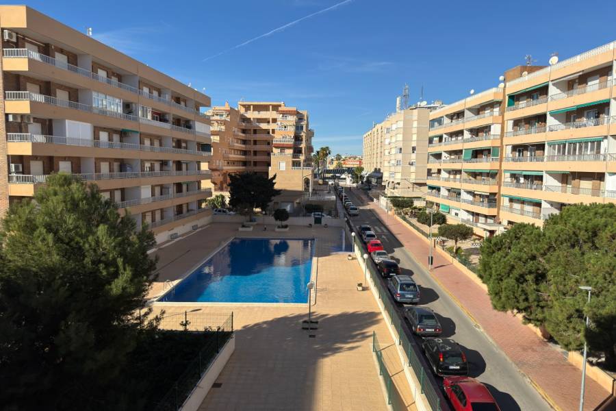 Пляж / Перепродажа - Apartment - Torrevieja - Punta Prima