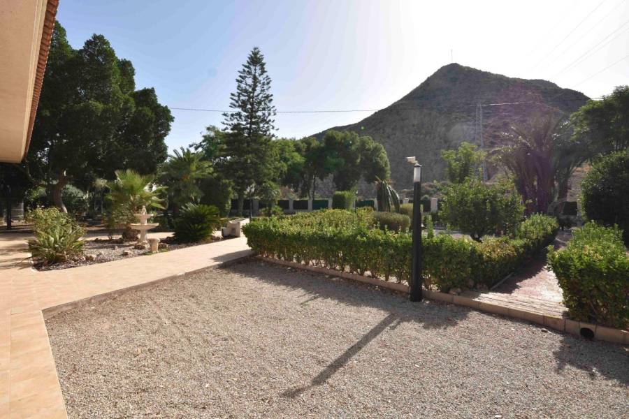 Пляж / Перепродажа - V - Orihuela - Camino Viejo de Callosa