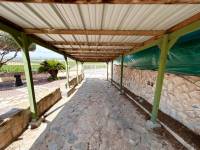 Playa/Reventa - V - Algorfa - La finca