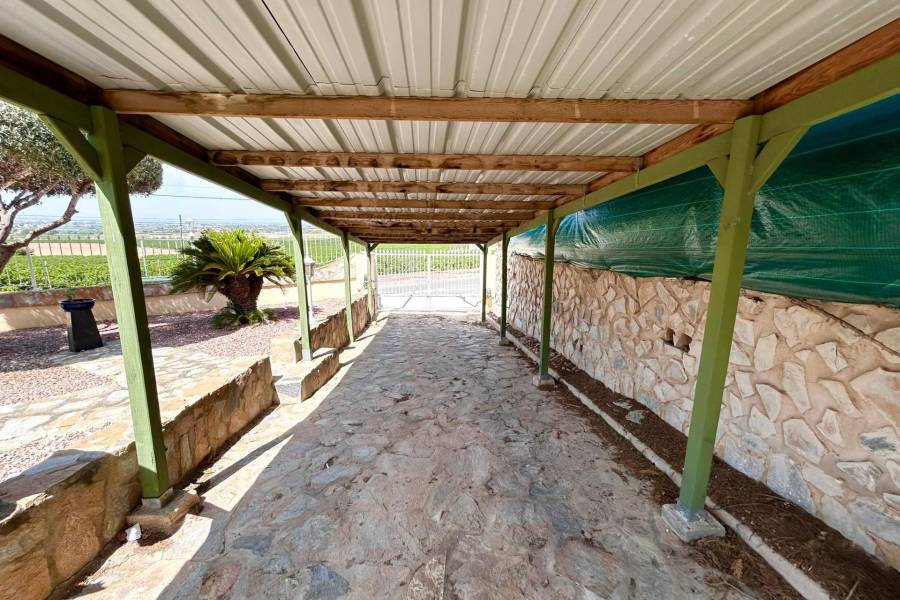 Playa/Reventa - V - Algorfa - La finca