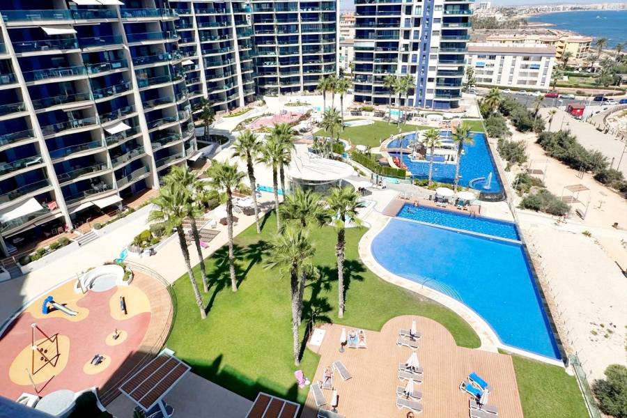 Пляж / Перепродажа - Apartment - Torrevieja - Punta Prima