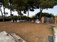 Playa/Reventa - V - Elche pedanias - Valverde