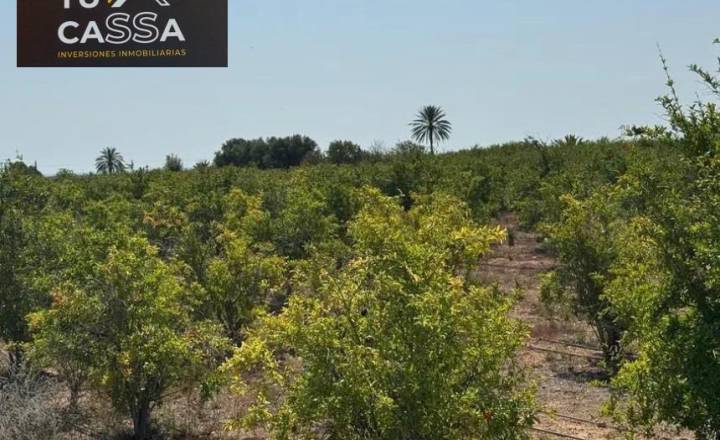 c - Playa/Reventa - El altet - El Altet - Balsares