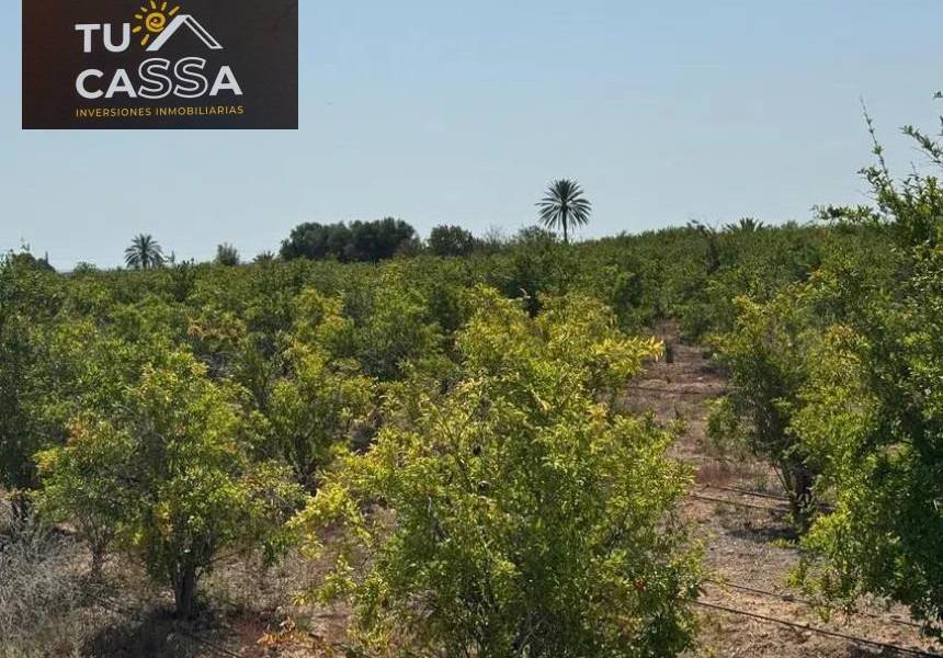 Playa/Reventa - c - El altet - El Altet - Balsares