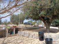 Beach/Resale - Country House - Elche - Jubalcoi