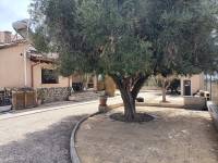 Beach/Resale - Country House - Elche - Jubalcoi