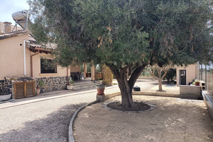 Beach/Resale - Country House - Elche - Jubalcoi