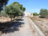 Beach/Resale - Country House - Elche - Altabix