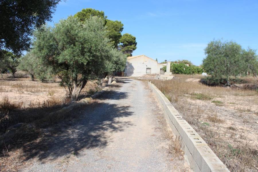 Beach/Resale - Country House - Elche - Altabix