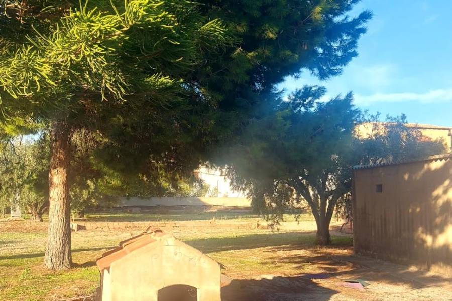 Пляж / Перепродажа - h - Matola - Algoda-Matola-Llano de San José