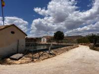 Weiterverkauf / Strand - c - Elche pedanias - TORRELLANO