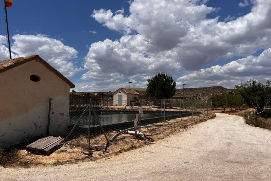 Weiterverkauf / Strand - c - Elche pedanias - TORRELLANO