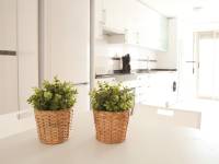 Plage-Mer / Occasion - F - Santa Pola - Centro