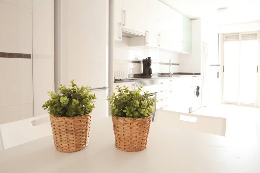 Plage-Mer / Occasion - F - Santa Pola - Centro