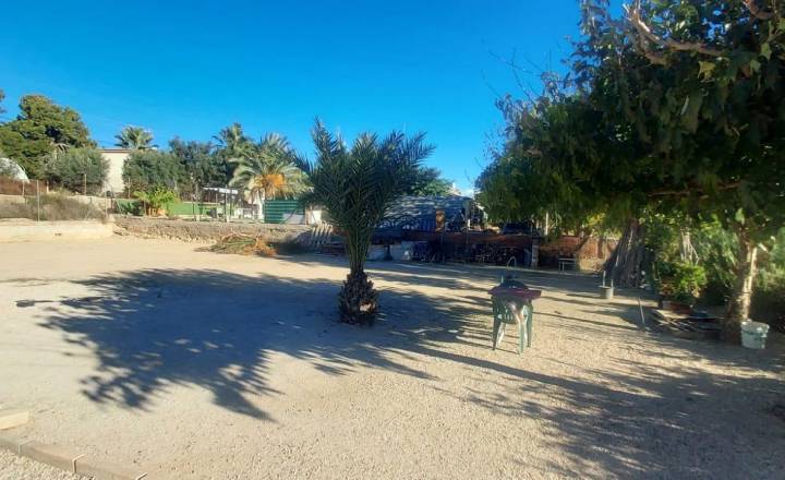 c - Playa/Reventa - Elche pedanias - Alenda golf