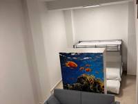 Playa/Reventa - D - Guardamar del Segura - PUERTO