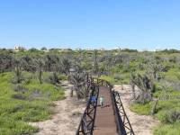 Playa/Reventa - F - Guardamar del Segura - las dunas