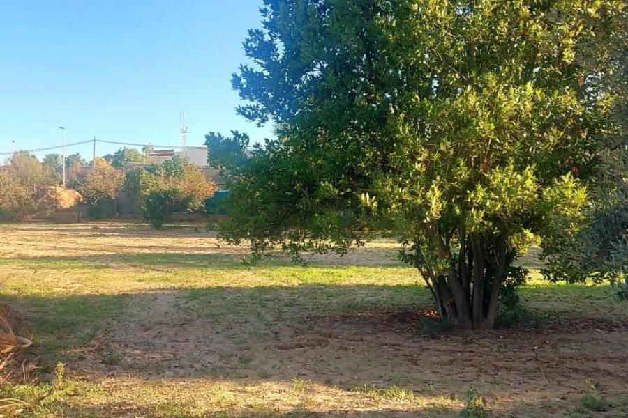 Пляж / Перепродажа - h - Matola - Algoda-Matola-Llano de San José