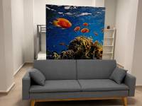 Playa/Reventa - D - Guardamar del Segura - PUERTO