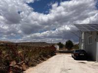 Weiterverkauf / Strand - c - Elche pedanias - TORRELLANO