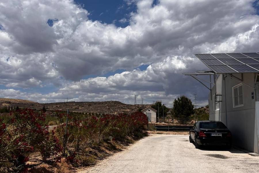 Weiterverkauf / Strand - c - Elche pedanias - TORRELLANO