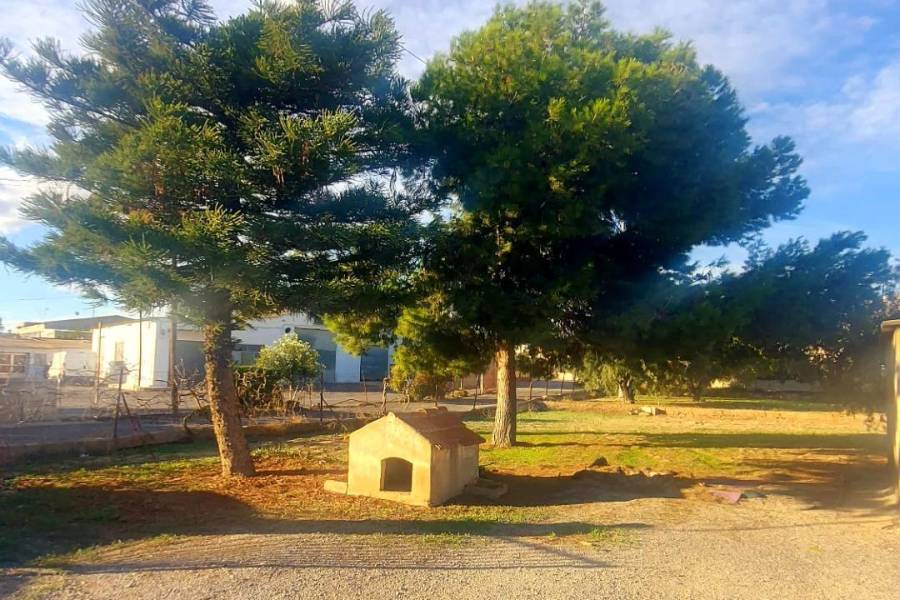 Пляж / Перепродажа - h - Matola - Algoda-Matola-Llano de San José