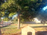 Пляж / Перепродажа - h - Matola - Algoda-Matola-Llano de San José