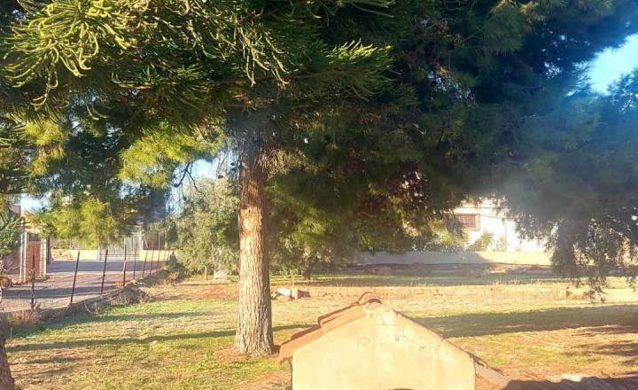 h - Пляж / Перепродажа - Matola - Algoda-Matola-Llano de San José