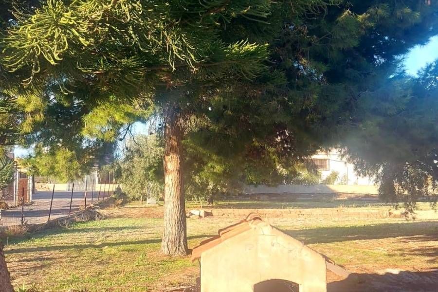 Пляж / Перепродажа - h - Matola - Algoda-Matola-Llano de San José