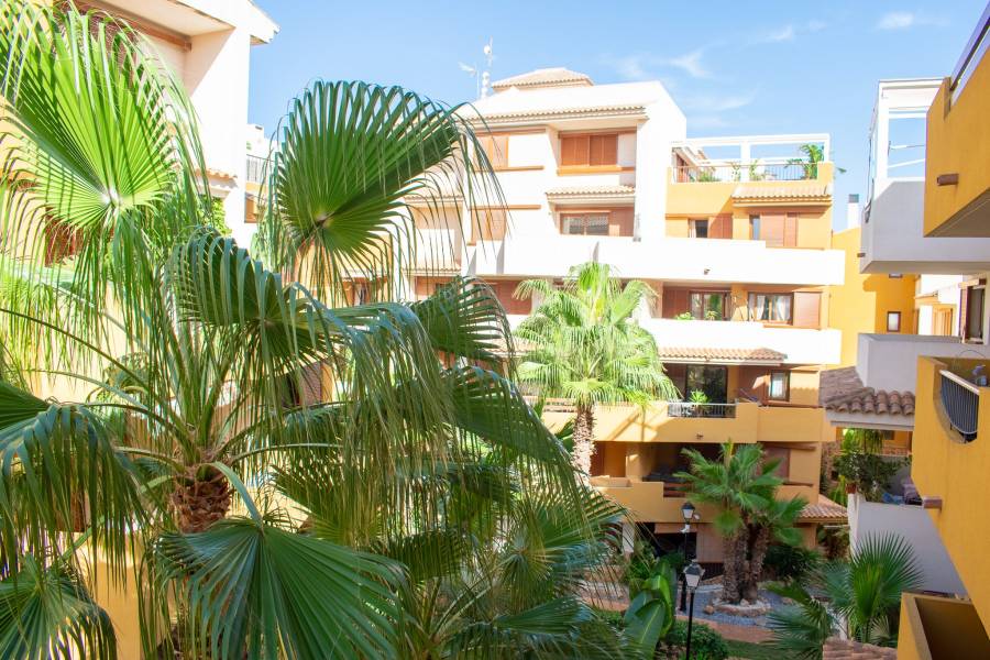 Пляж / Перепродажа - Apartment - Torrevieja - Punta Prima