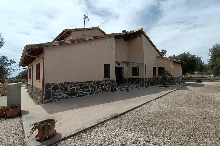 Beach/Resale - Country House - Elche - Jubalcoi