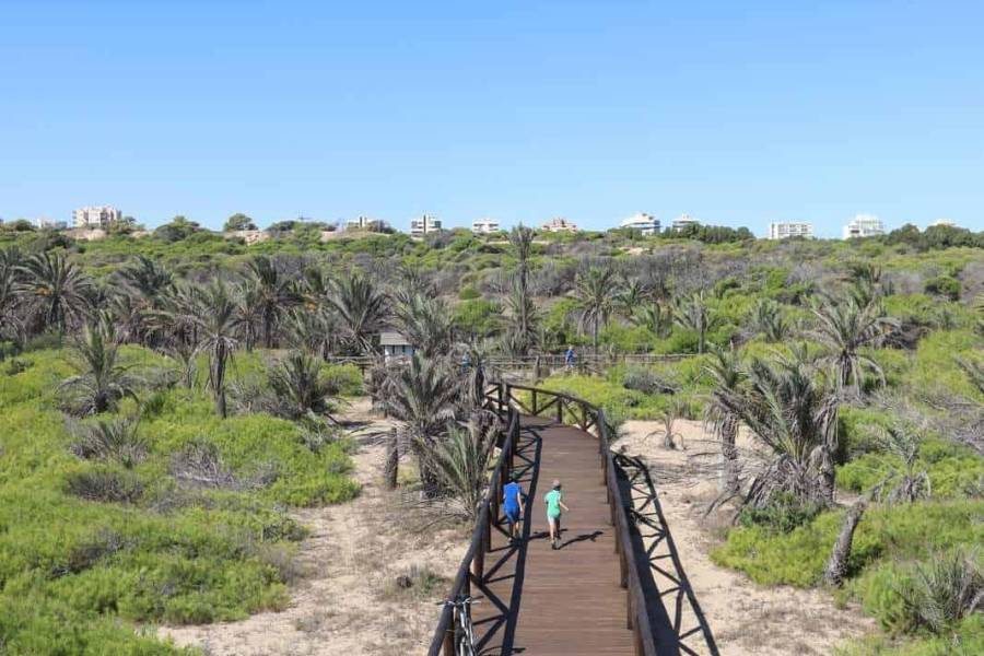 Playa/Reventa - A - Guardamar del Segura - PUERTO