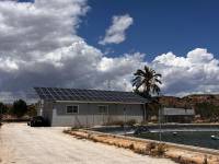 Weiterverkauf / Strand - c - Elche pedanias - TORRELLANO