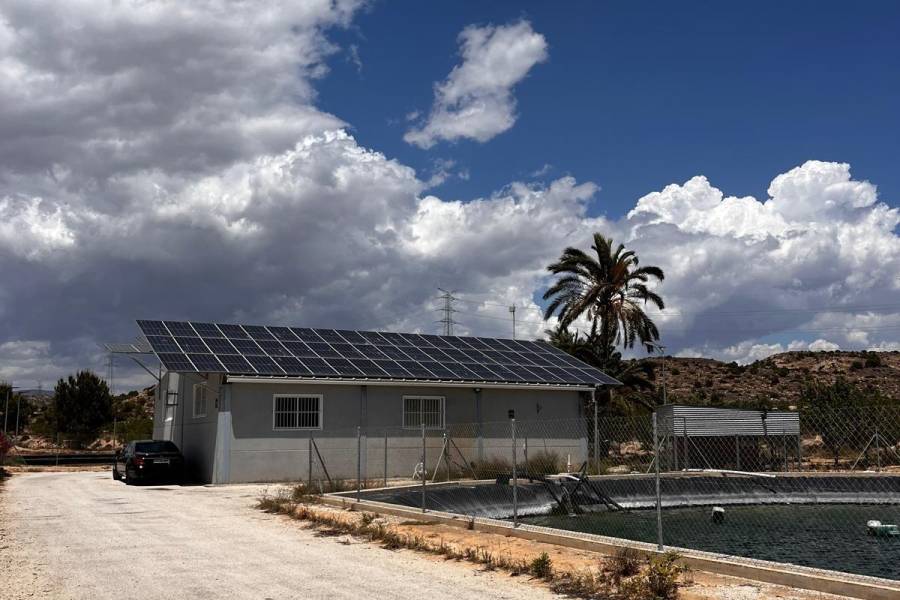 Weiterverkauf / Strand - c - Elche pedanias - TORRELLANO