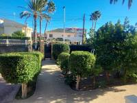 Playa/Reventa - V - Elche - Ciudad Jardin