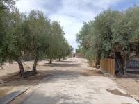 Beach/Resale - Country House - Elche - Jubalcoi