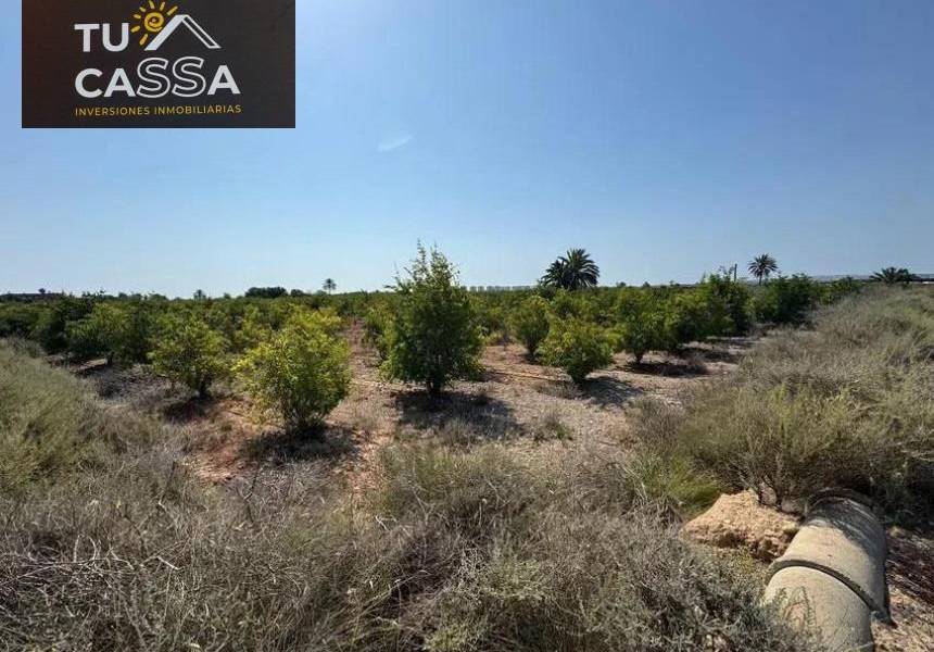 Playa/Reventa - c - El altet - El Altet - Balsares