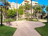 Beach/Resale - Apartment - Torrevieja - Playa Los Locos