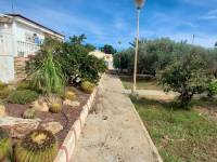 Пляж / Перепродажа - V - Elche pedanias - Peña las Aguilas